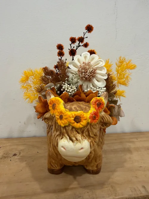 Holly Highland Cow Preserved Arrangement