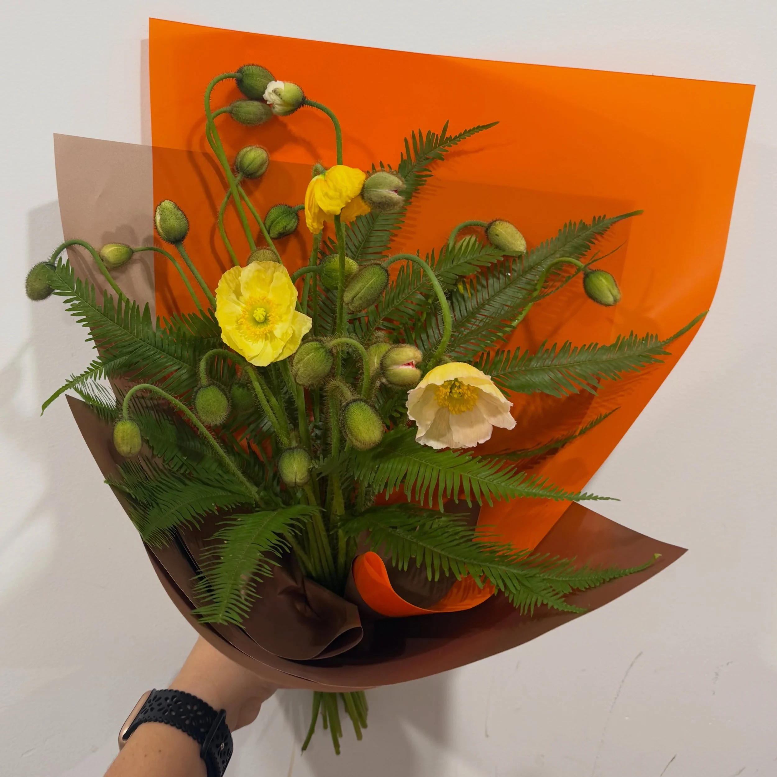 Happy Monday Flower Lovers 💐
It&rsquo;s Poppy Season, and we are celebrating. 

This week&rsquo;s posy a beautiful combination of Mixed Poppies and Umbrella Foliage. $35 a posy. 

Our Weekly Posy Special featuring beautiful, seasonal, fresh blooms g
