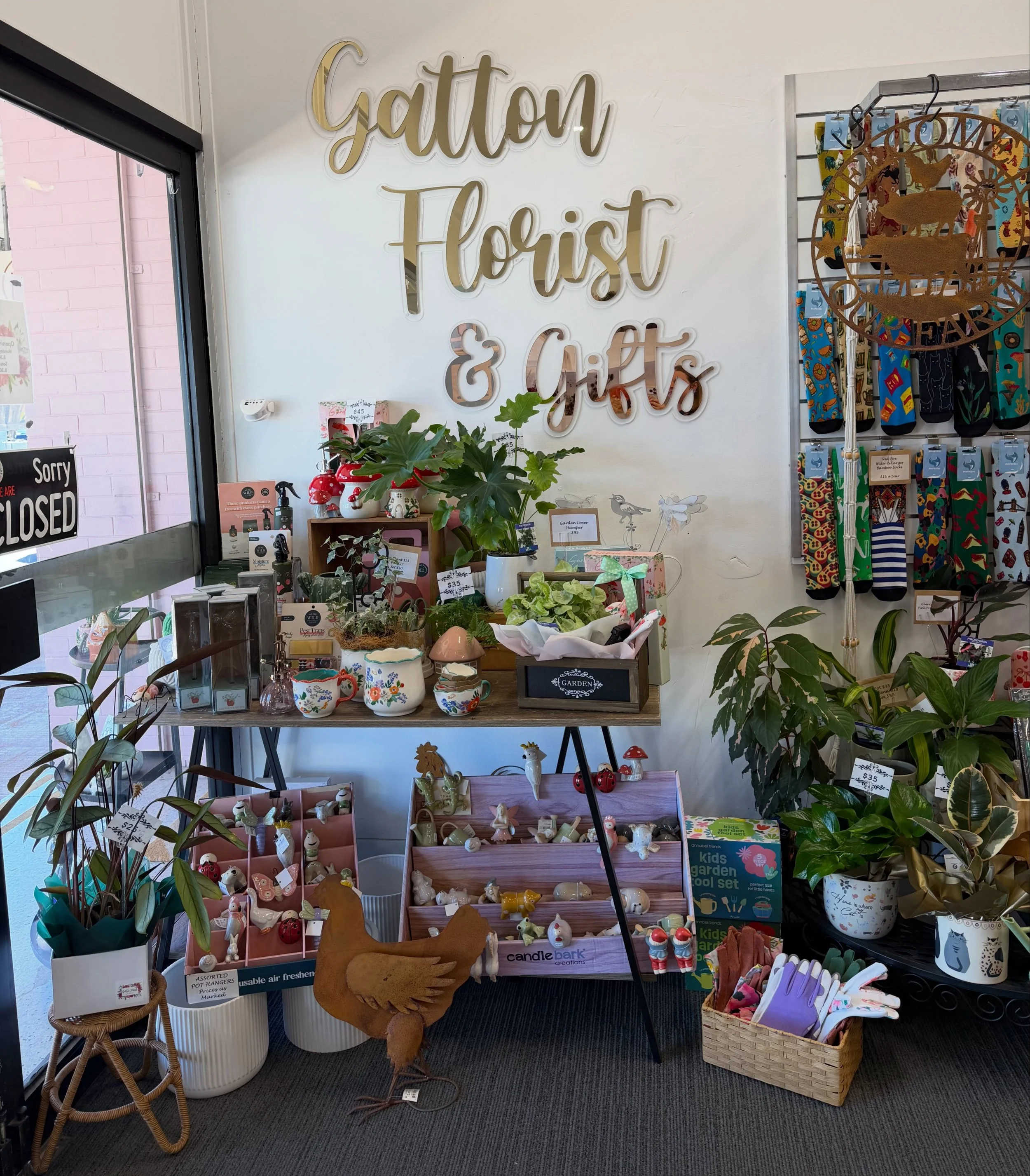 We love Plant Restock Days 
Locally from our Friends @pohlmansnursery 🪴

The shelves are looking lush again!
We&rsquo;ve unpacked a fresh plant delivery with lots of beautiful new babies ready for their new homes. 

Perfect for brightening your spac
