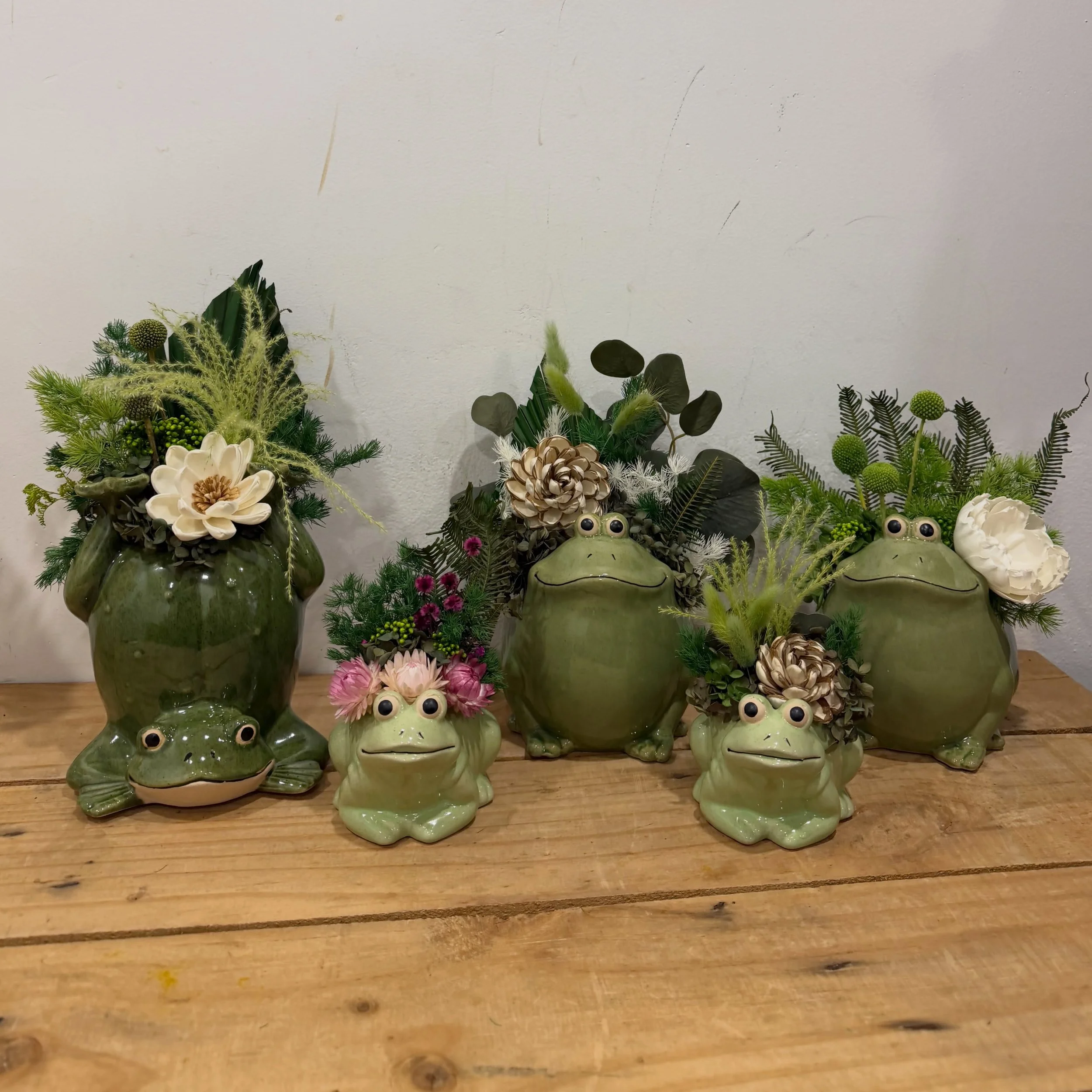 Meet the cutest little plant companion. A little bit quirky, a whole lot adorable. 🐸 🌸

Our Preserved Frog Pots are back and ready to brighten desks, shelves and little corners that need some joy. 

One of a kind. Available in store and online now 
