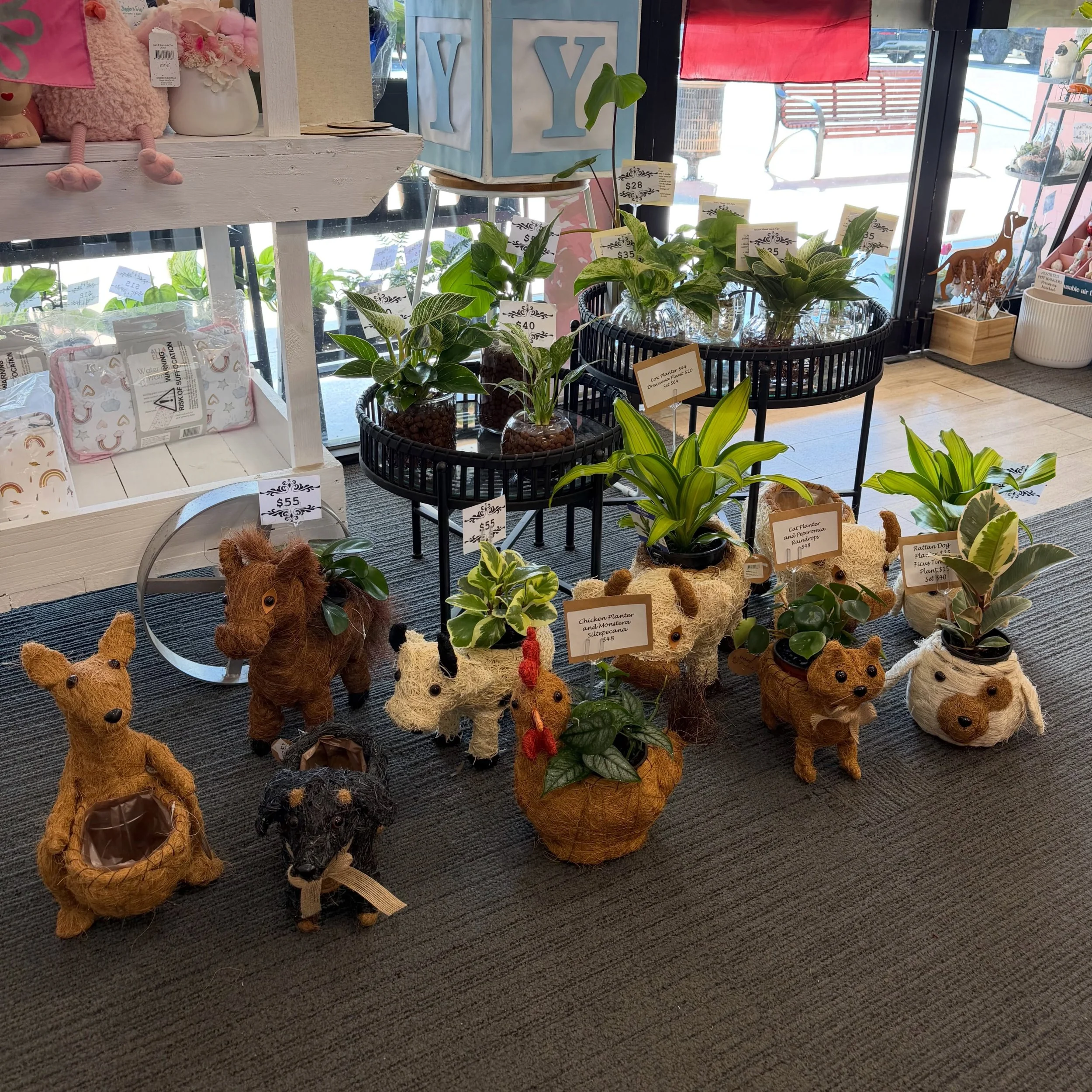🌿 The plant lovers&rsquo; warning has been issued&hellip; 🌿

Our biggest plant restock in a while has landed!

🪴 Indoor plants galore
🪴 Rattan planter combos
🪴 Hydro plants
🪴 Succulent pots
🪴 So many gorgeous new arrivals

The shop is looking 