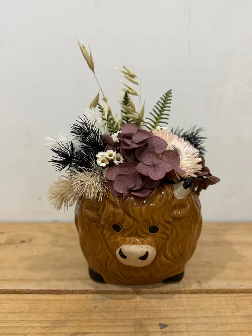 Hobie Highland Cow Preserved Mug Arrangement