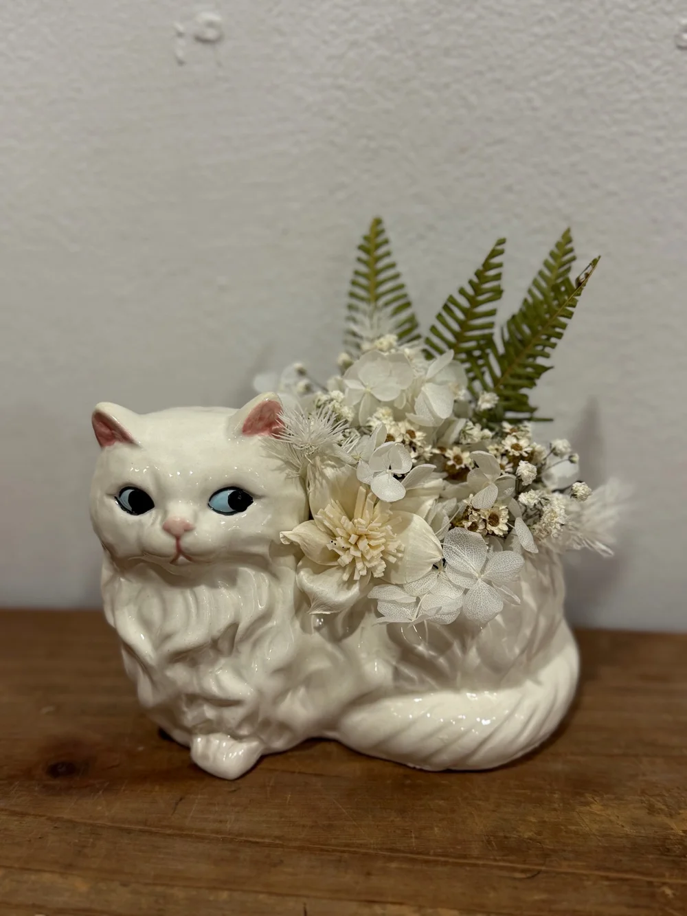 Colleen Cat Preserved Arrangement