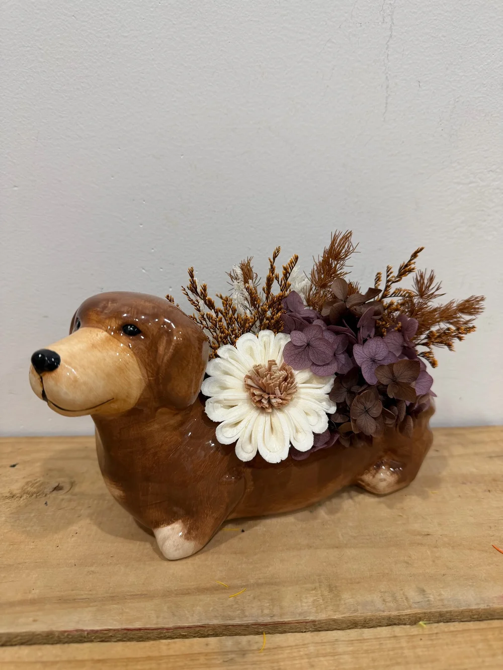 Darryl Dachshund Preserved Arrangement