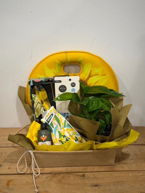 Deluxe Sunflower Plant Lover Hamper