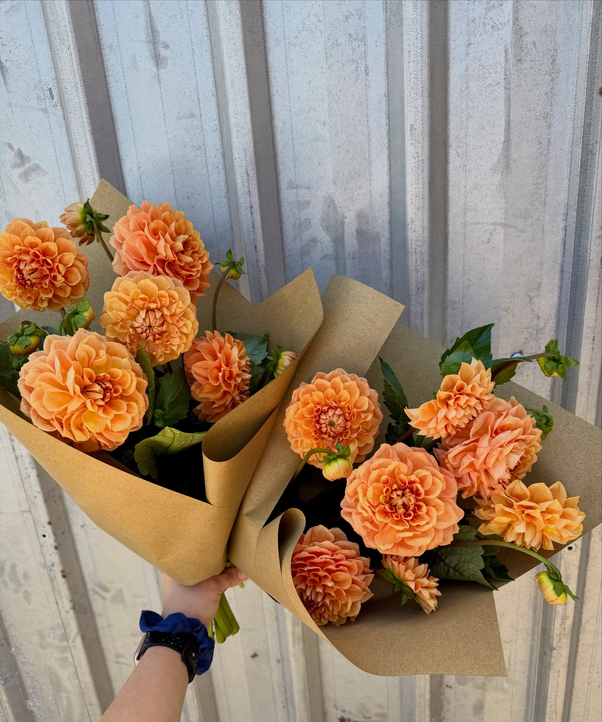 🌸 Market bunches = the best bang for your buck! 🌸

Love having fresh flowers at home without spending a fortune? Our market bunches are for you! 💐

Straight from our growers to you, these bunches are wrapped just as they arrive, keeping things sim