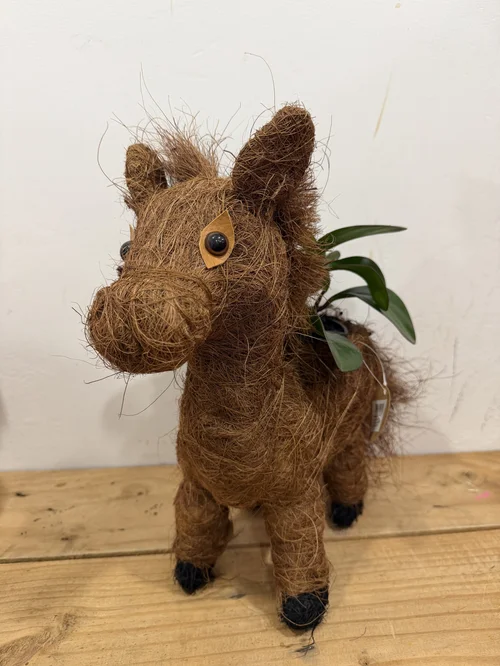 Horse Planter with Peperomia Red Edge