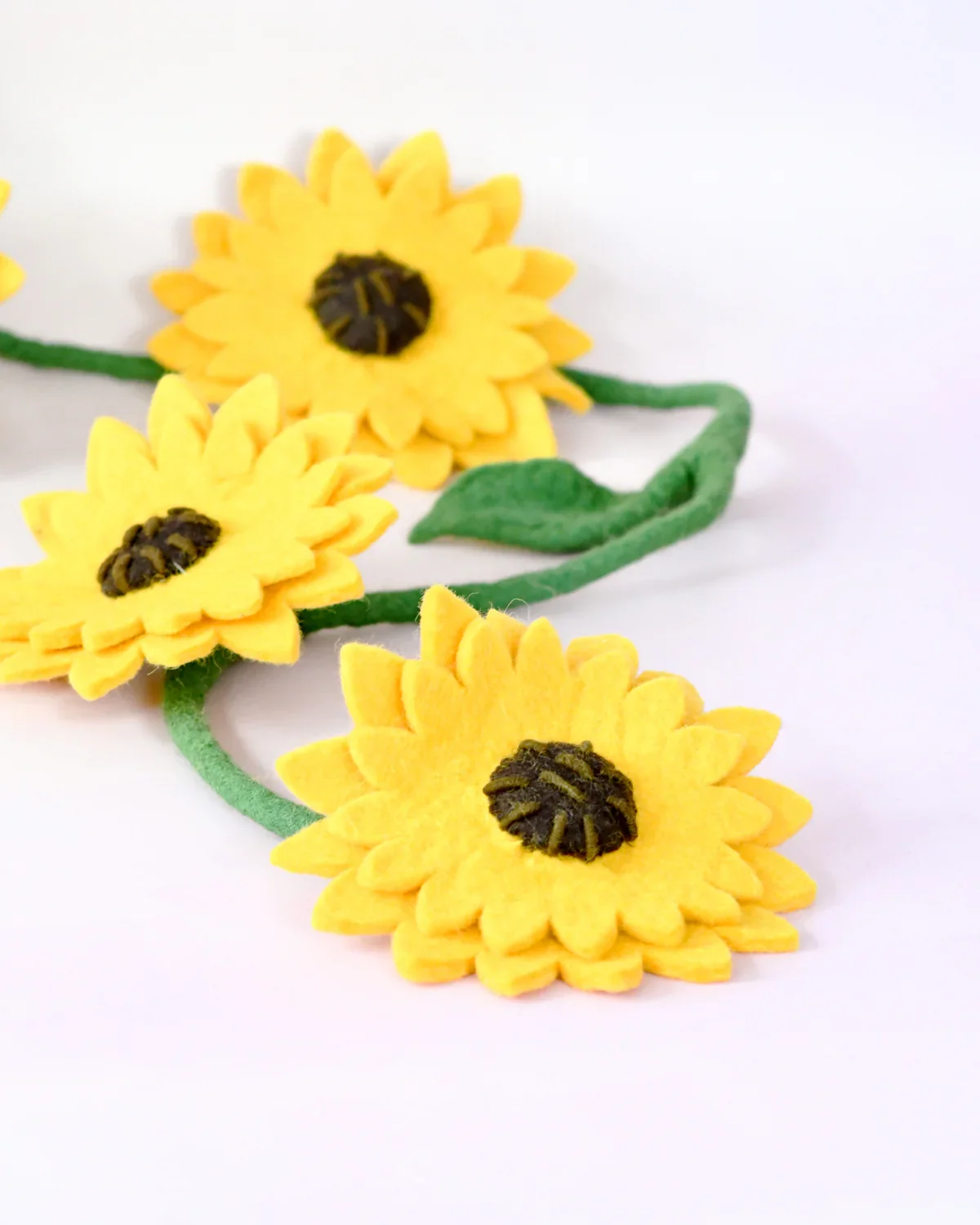 IMG_2669.webp