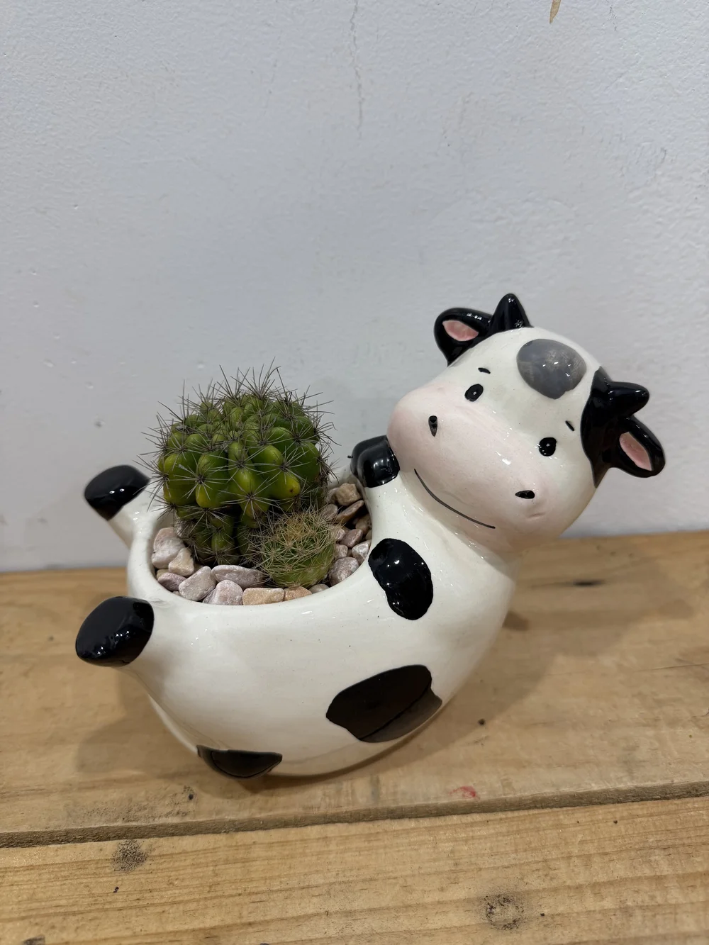 Cow Planter with Cactus