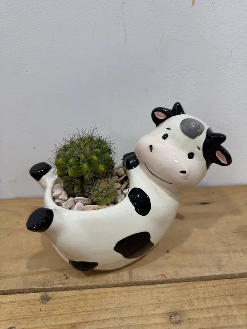 Cow Planter with Cactus