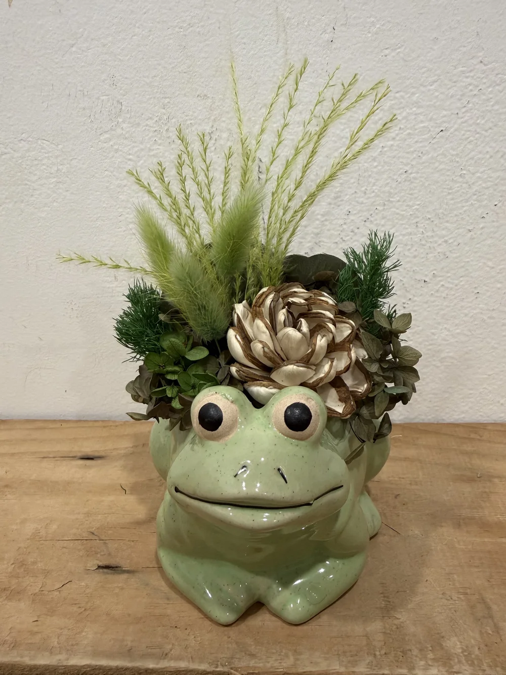 Felix Frog Preserved Arrangement