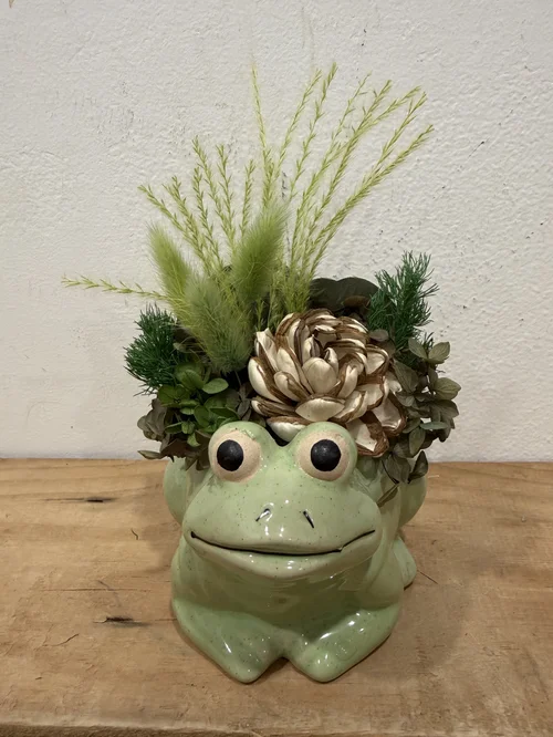Felix Frog Preserved Arrangement