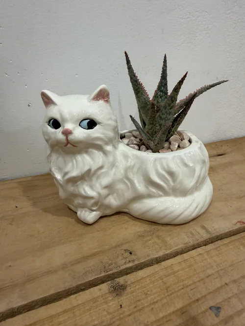 Cat Planter with Aloe