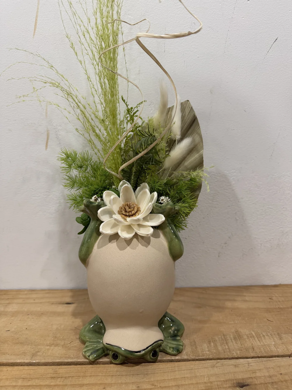 Faith Frog Preserved Arrangement