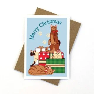 XS129-Kitty-Present-320x320.jpg