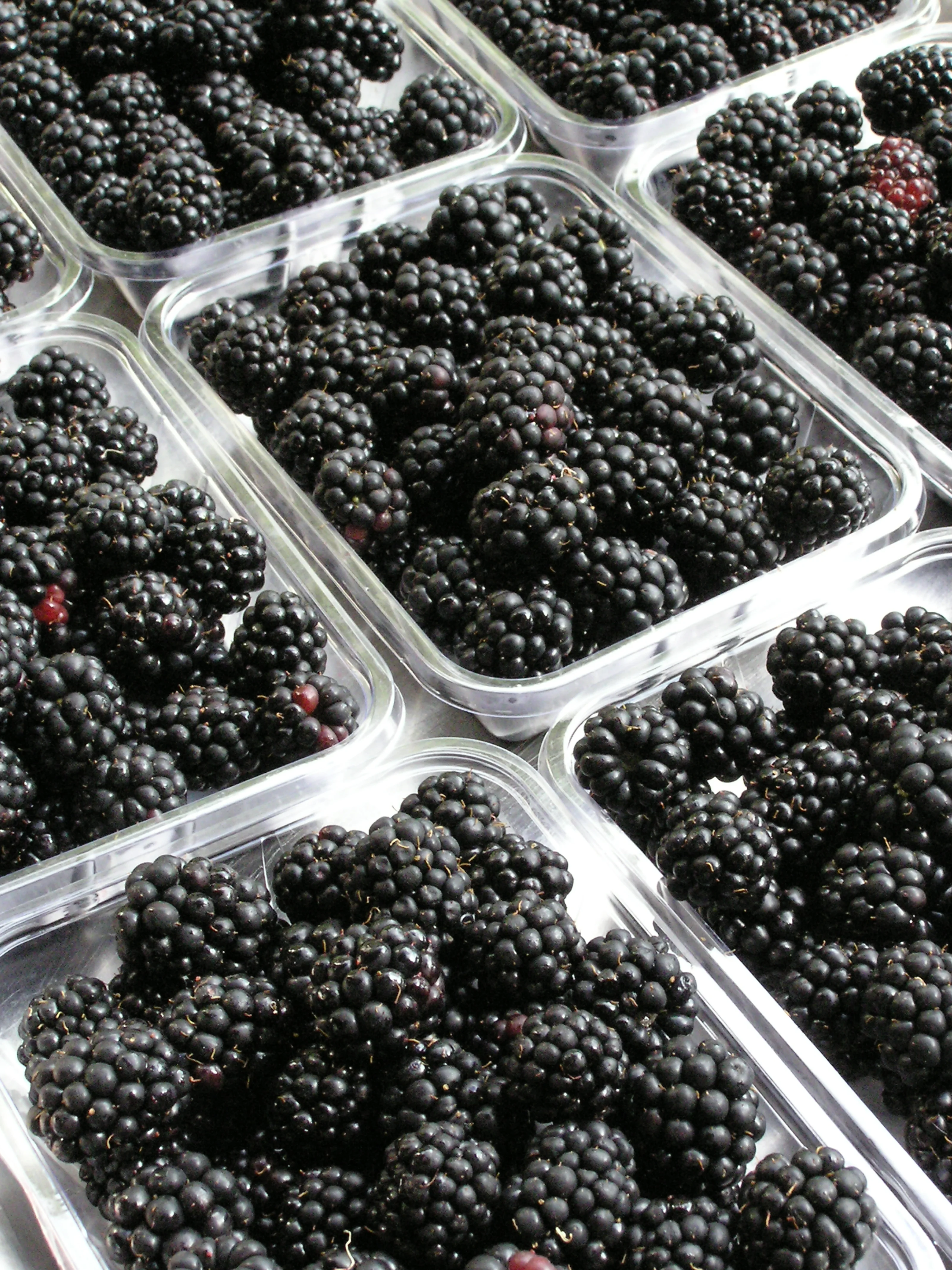 punnets_black01.JPG