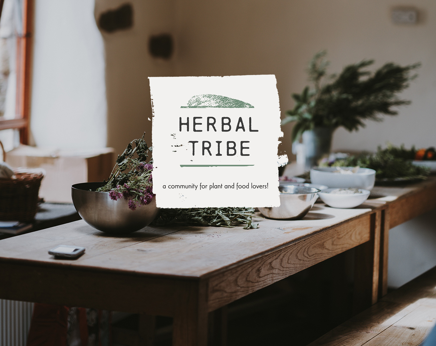 annie-spratt-herbal-tribe-logo.jpg