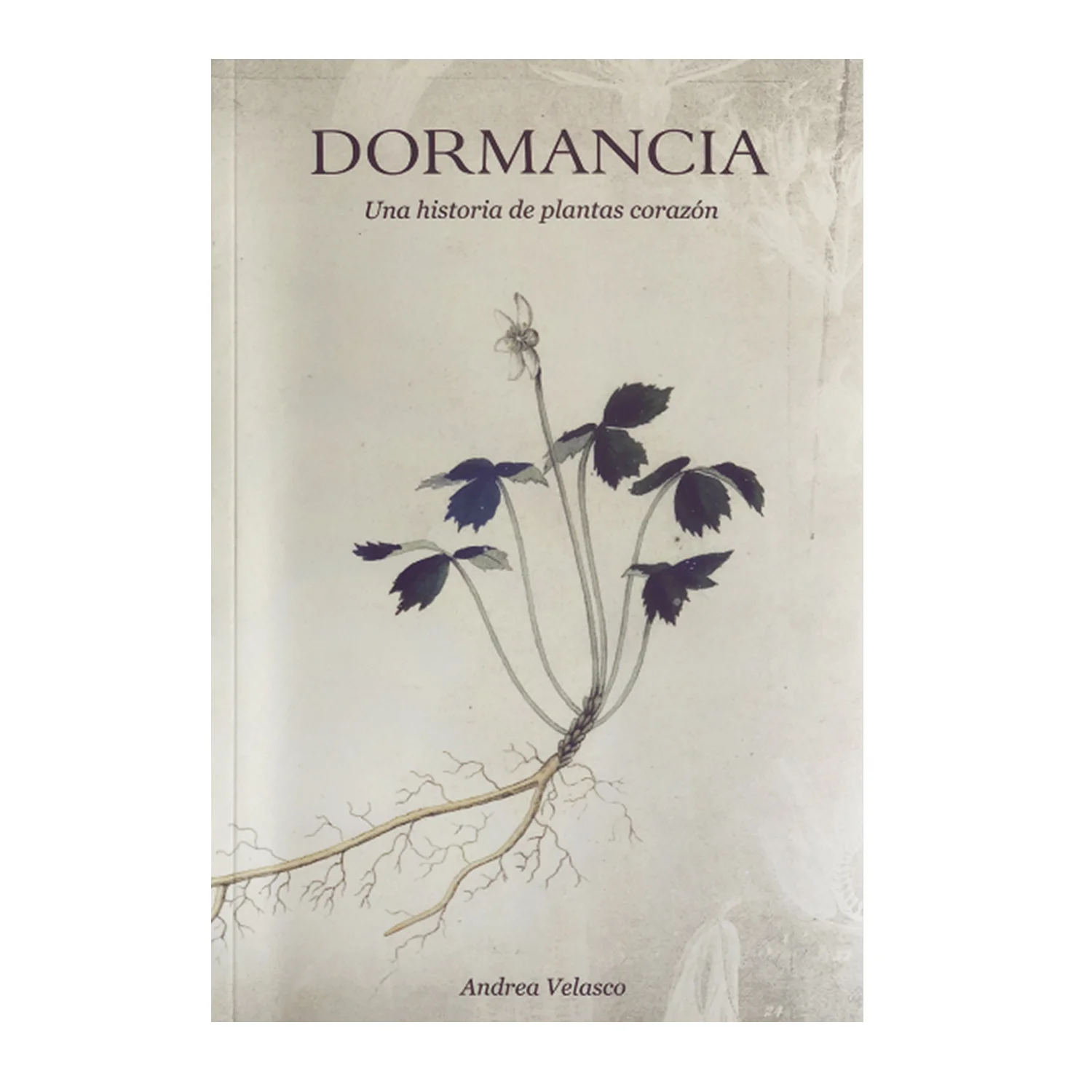 dormancia 1.jpg