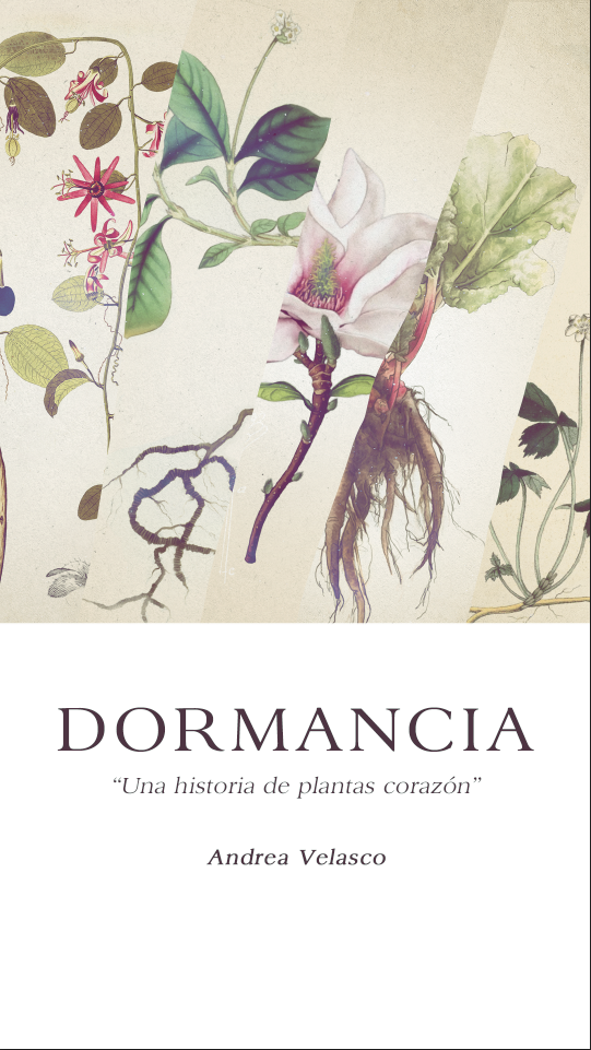 DORMANCIA - Libro