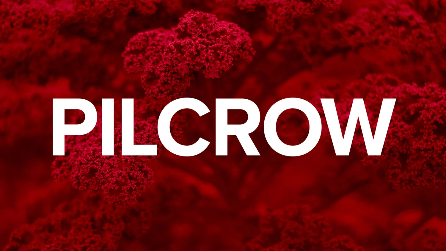 spiel-pilcrow.jpg