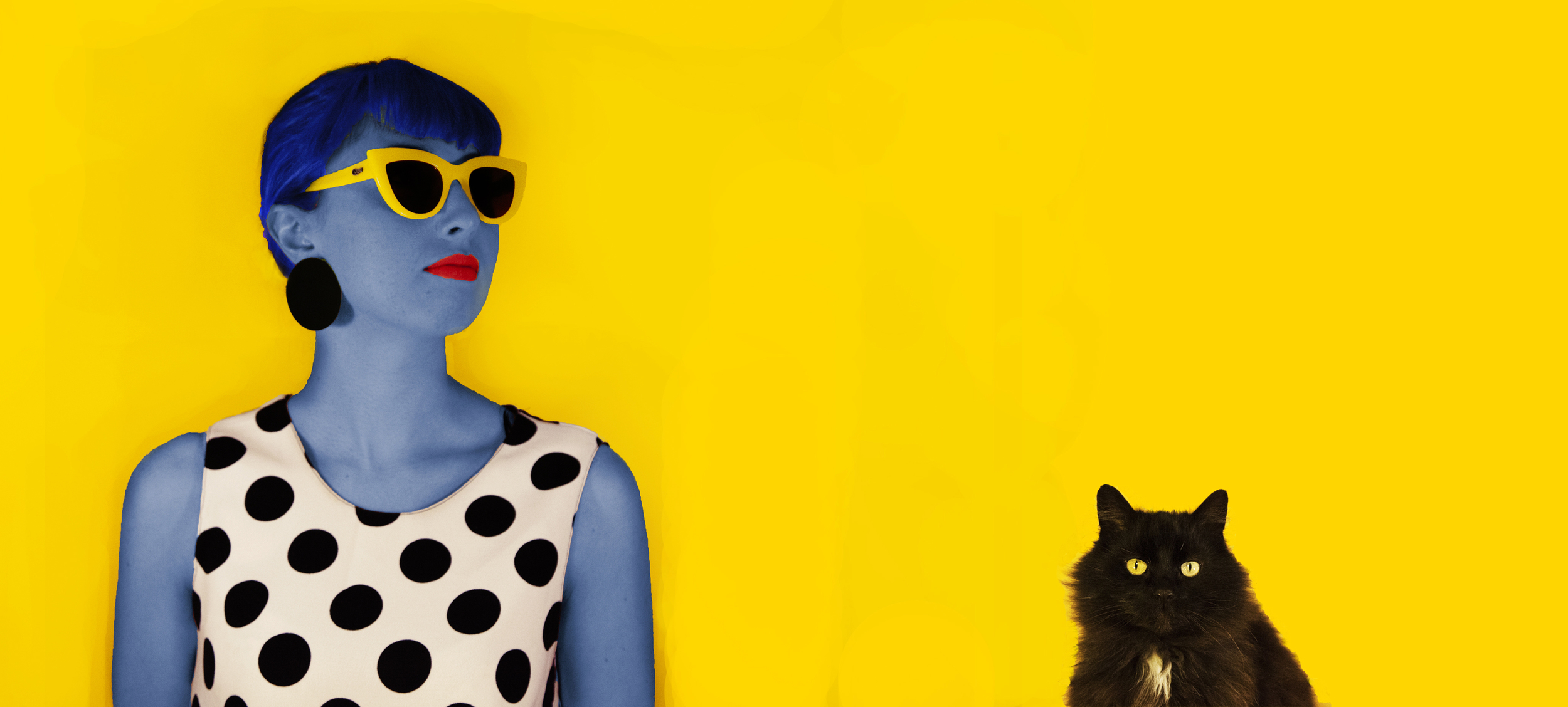 Puca by Frances Johnston , from the DIT Visual Communications show
