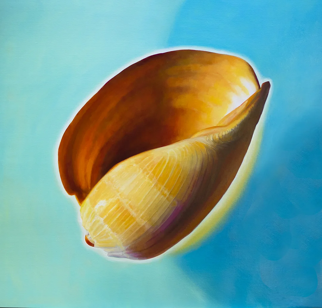 The Melon Shell