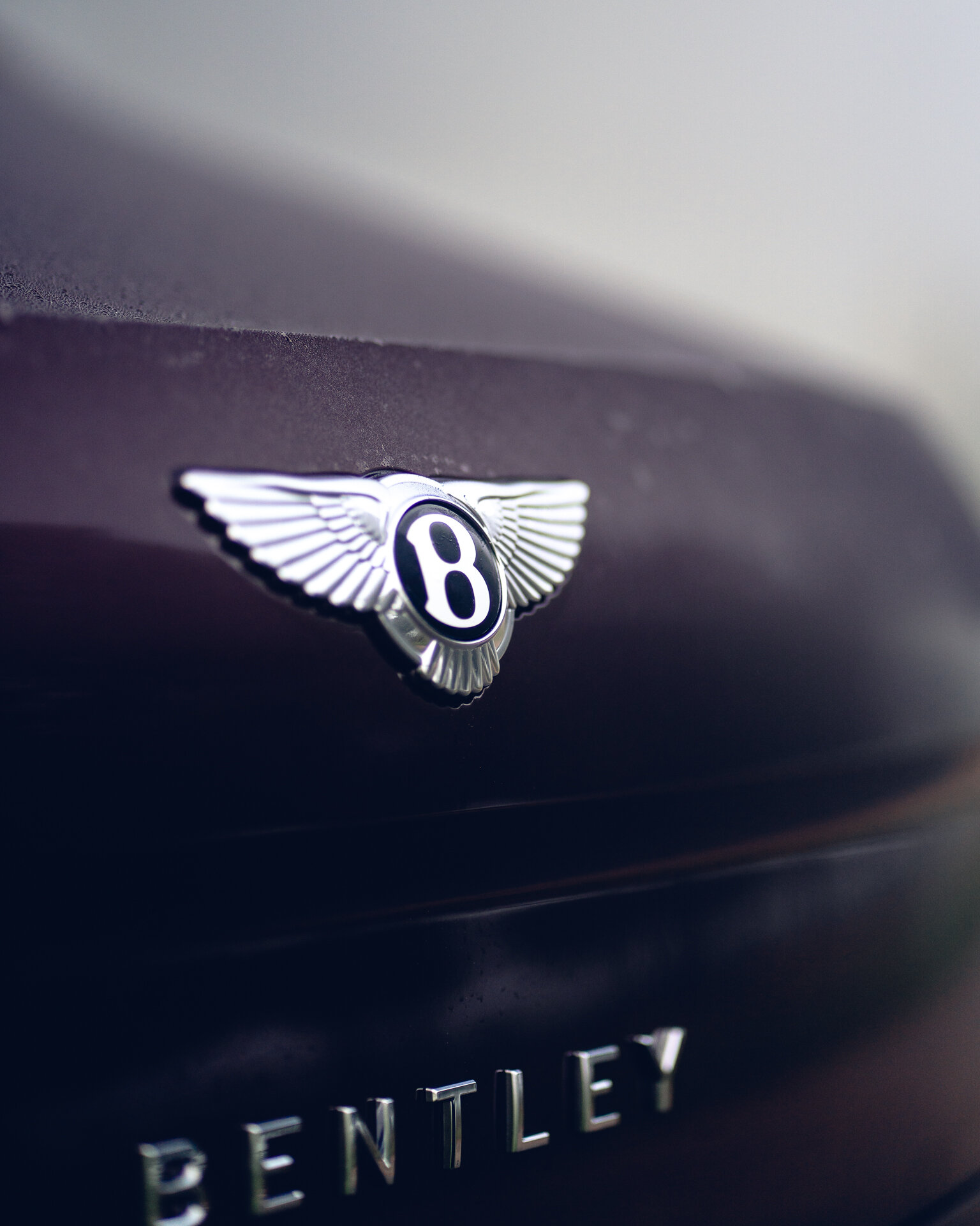 SMoores_21-10-09_Bentley Flying Spur_0243.jpg