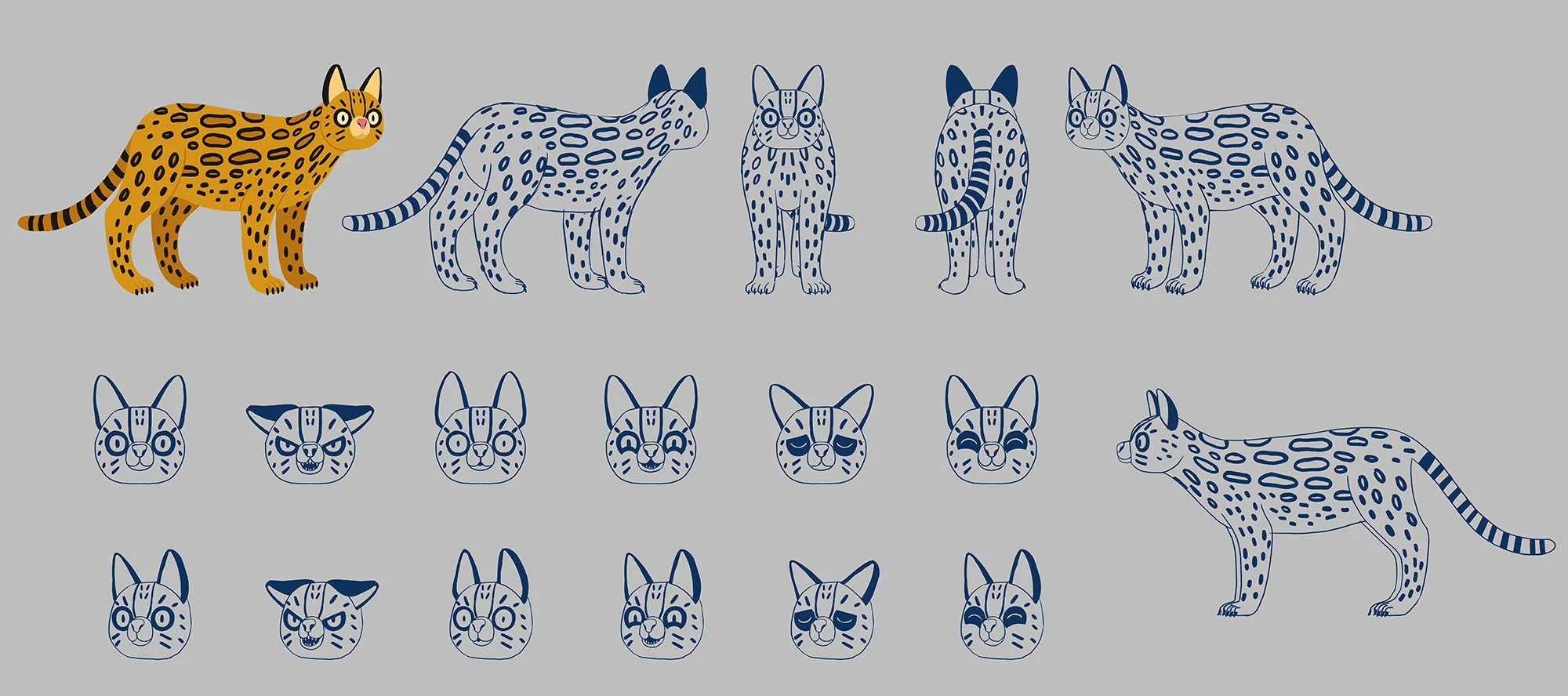 animals_Ocelots_pilna_aug copy.jpg
