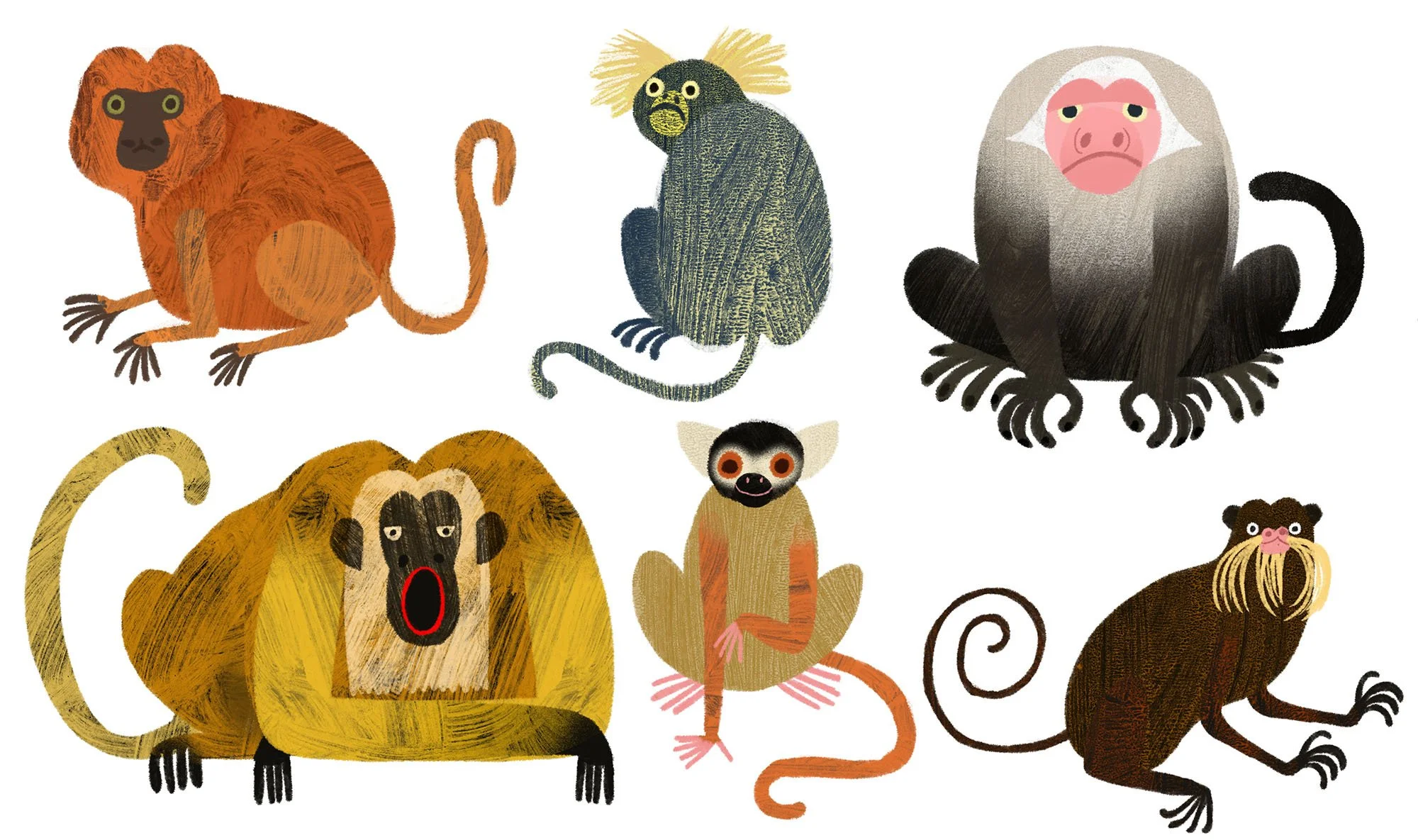 Monkeys.jpg