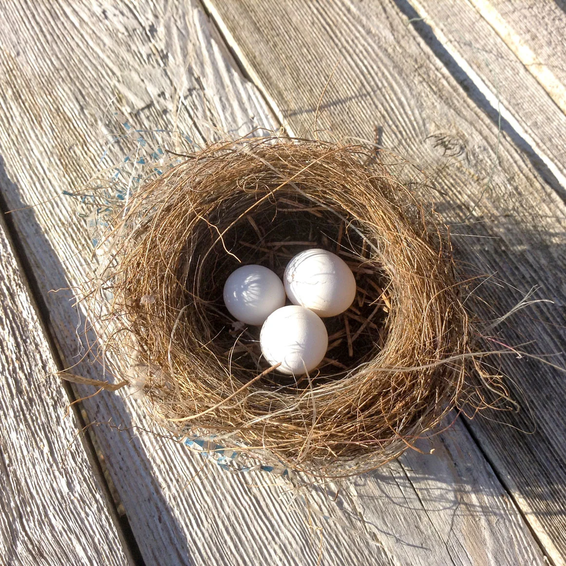 Toronto Star: Hanging on to Your Nest Egg