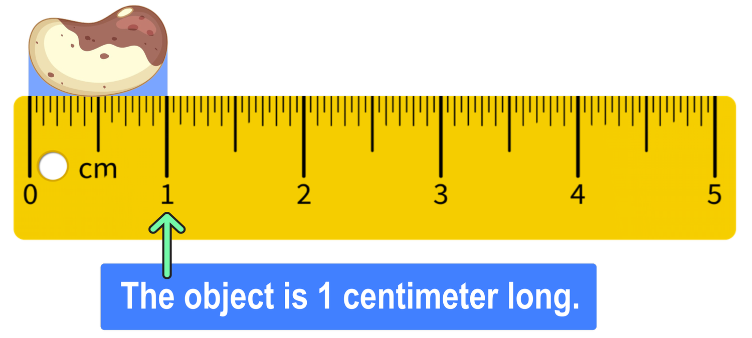 How to Read a Ruler—Step-by-Step with Pictures — Mashup Math