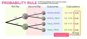 Probability Tree Diagrams Explained! — Mashup Math