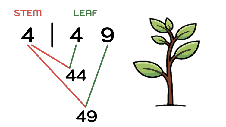 Stem and Leaf Plots Explained—Simple Definition and Examples — Mashup Math