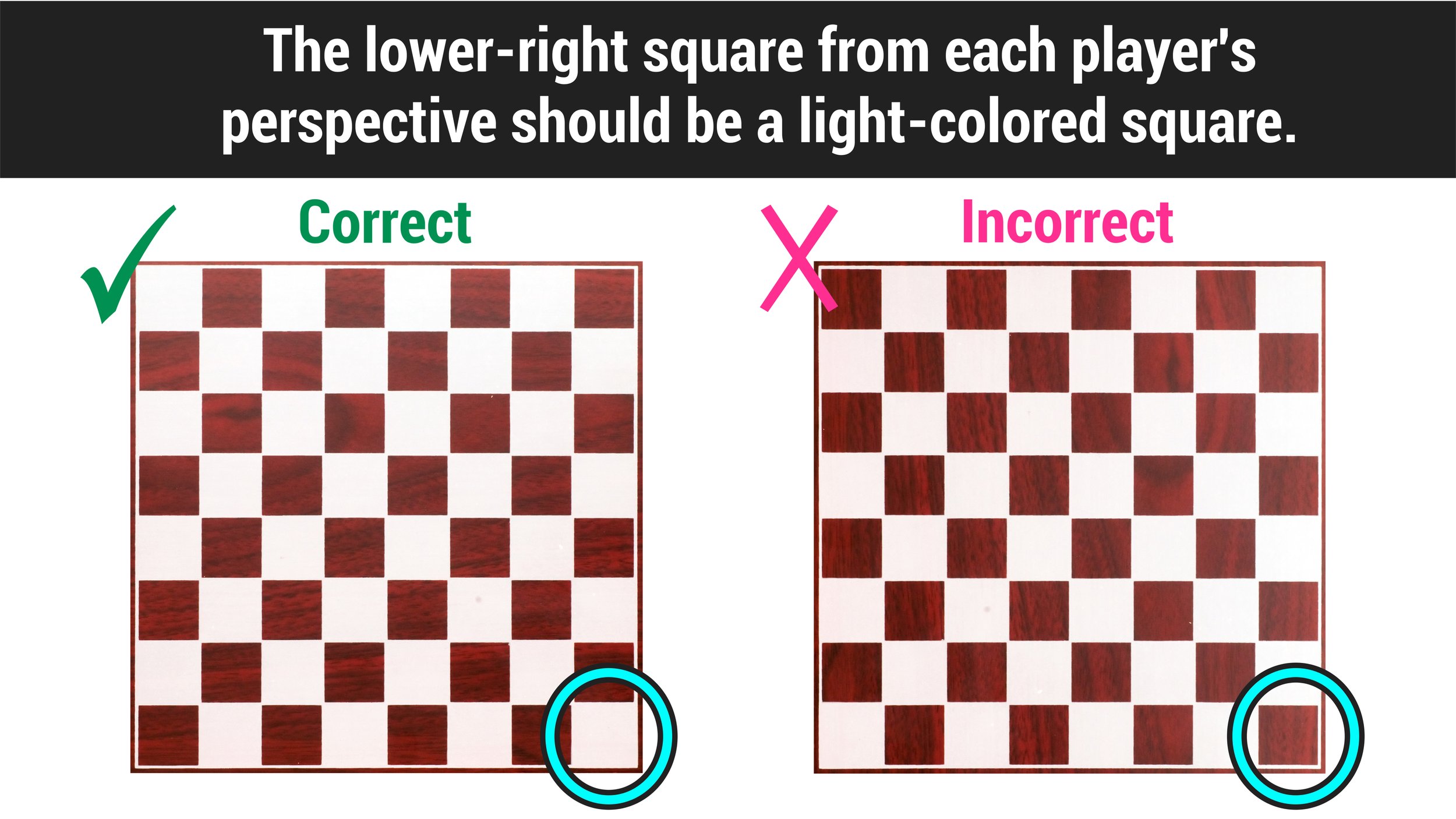 How to Set Up a Chess Board—Explained — Mashup Math