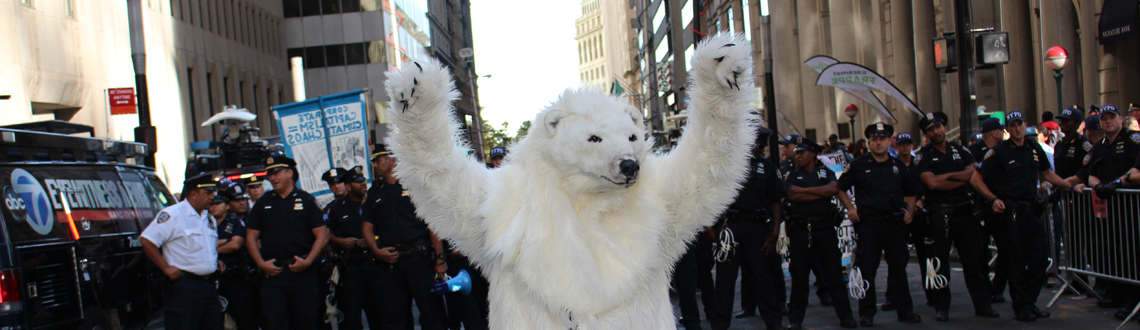 Polar bear: 1 Wall Street: 0