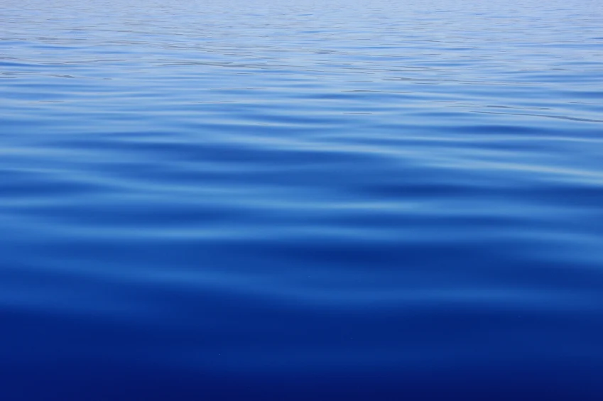 iStock_000007268110_Small.jpg