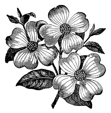 vintage flower.jpg
