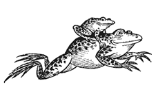 blog_frogs.gif