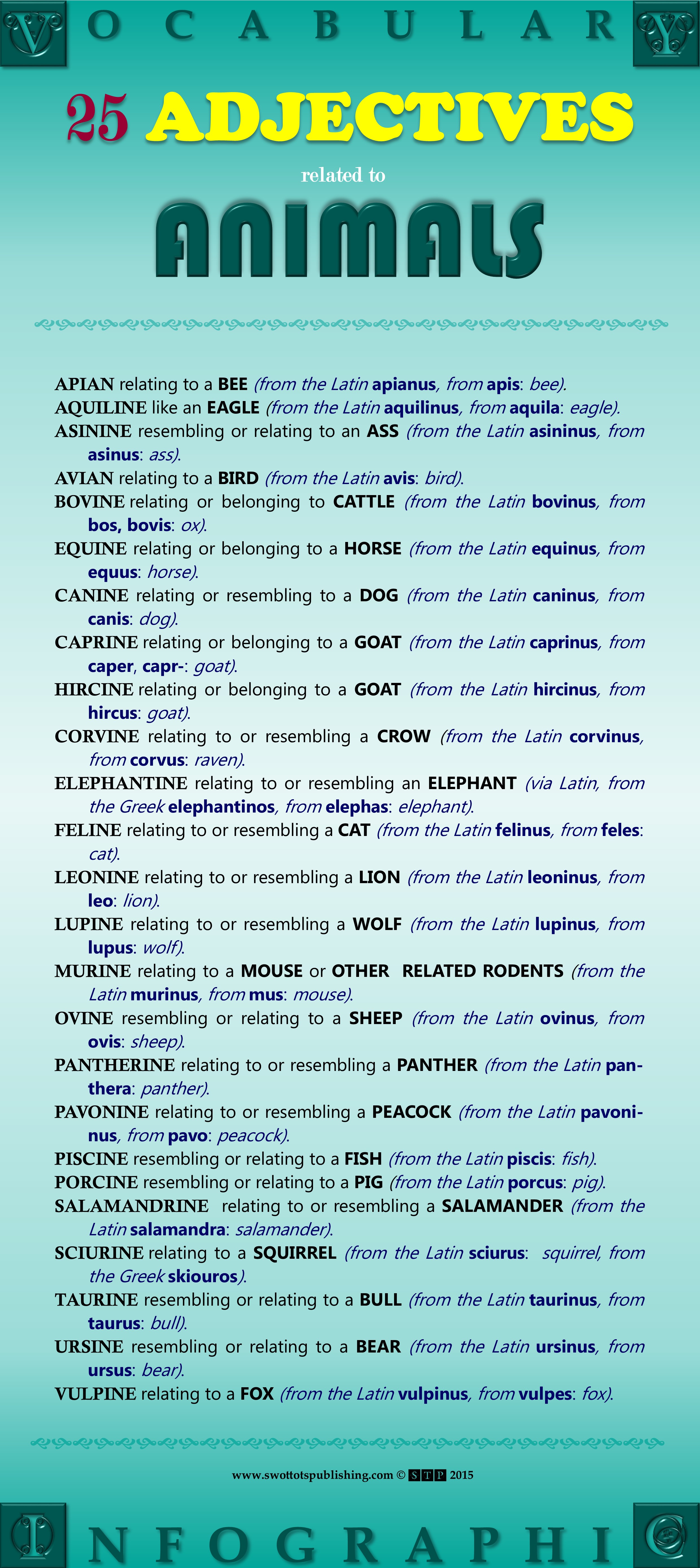 Animal Adjectives (Word Banks) - Vocabulary Infographic — STP Books