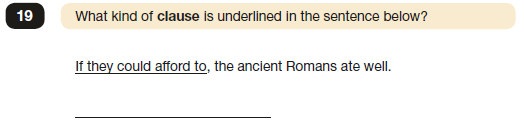 2019 SPaG Paper 1 Question 19.png