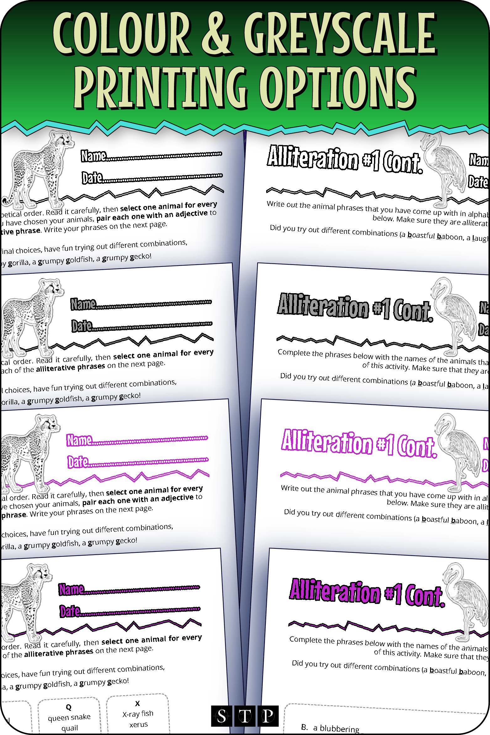 A 'look inside' preview showing the resource is available in both colour-accented and ink-friendly greyscale printing options.
