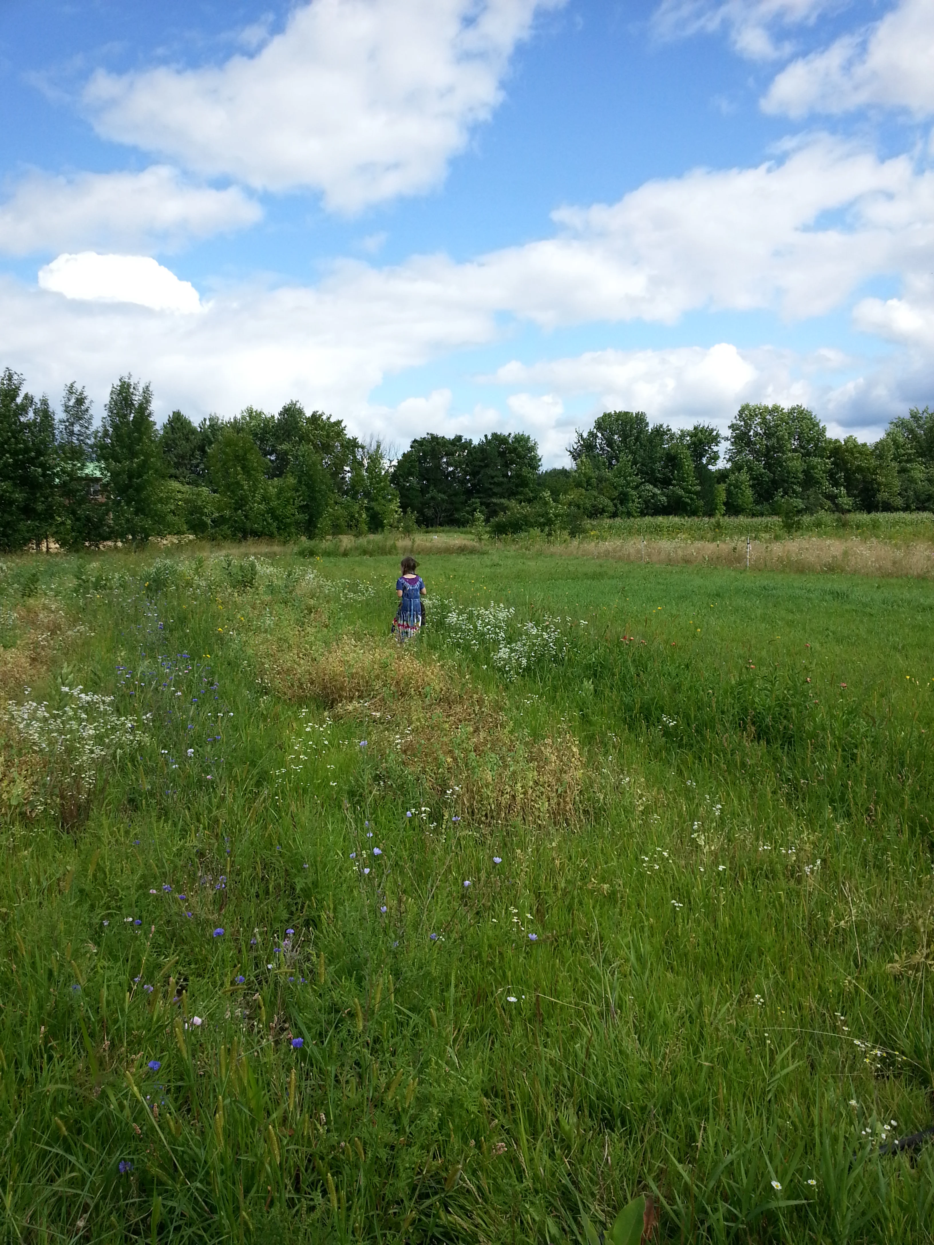 20140817_144449.jpg