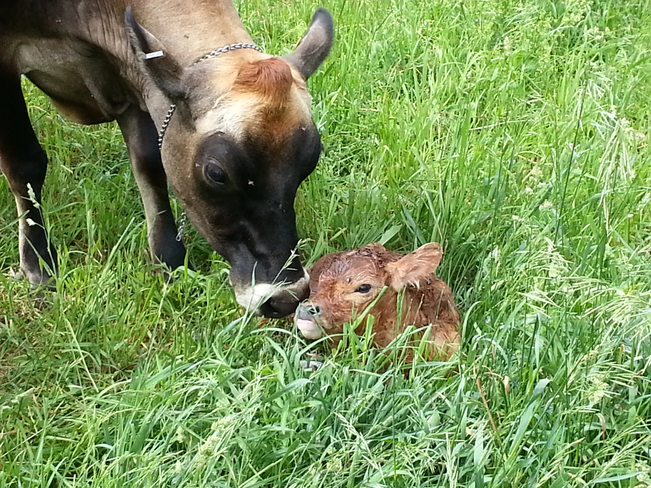 20140611_104011.jpg