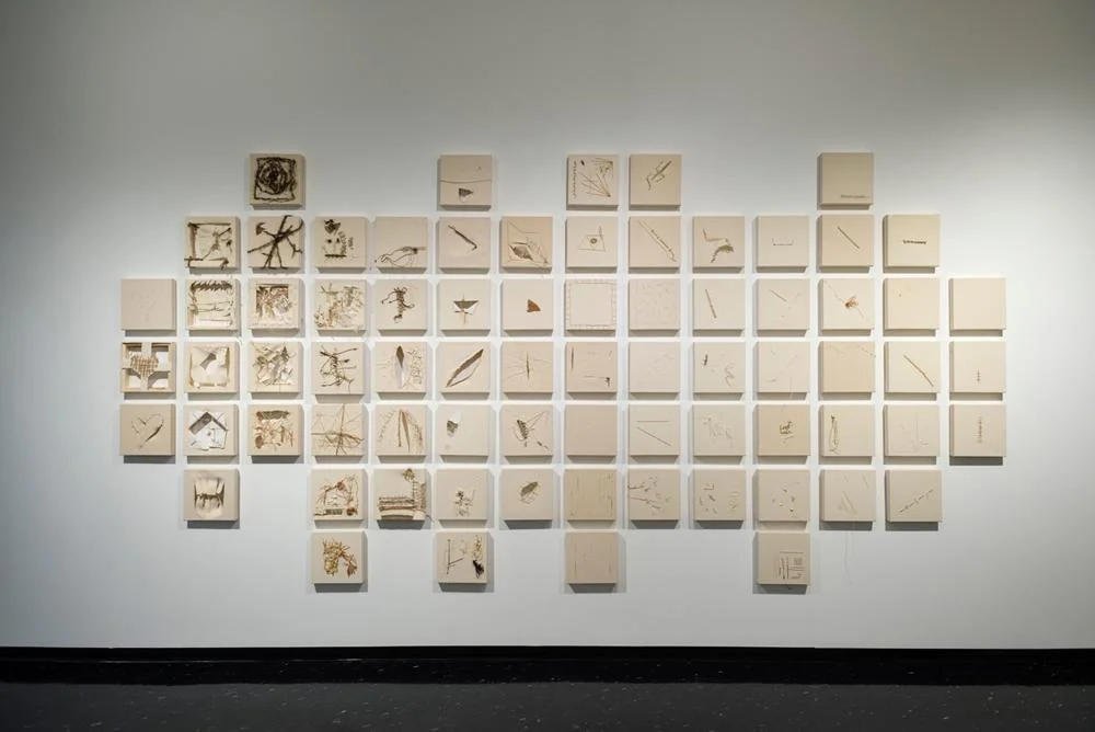 The Scar Project, Winnipeg Art Gallery, 2014