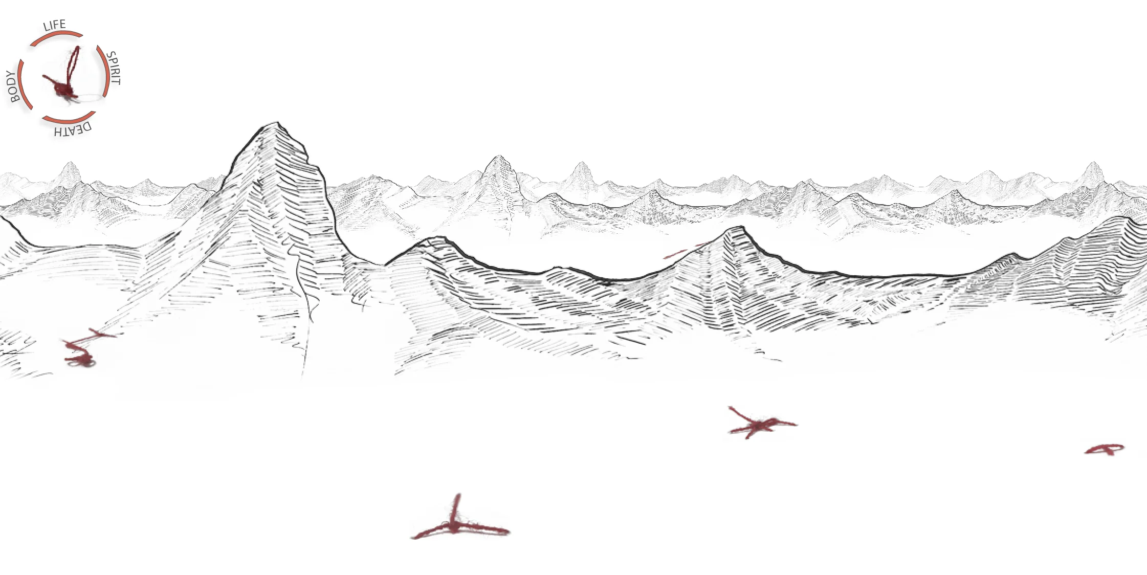 Mois Multi 2016: Recto Verso