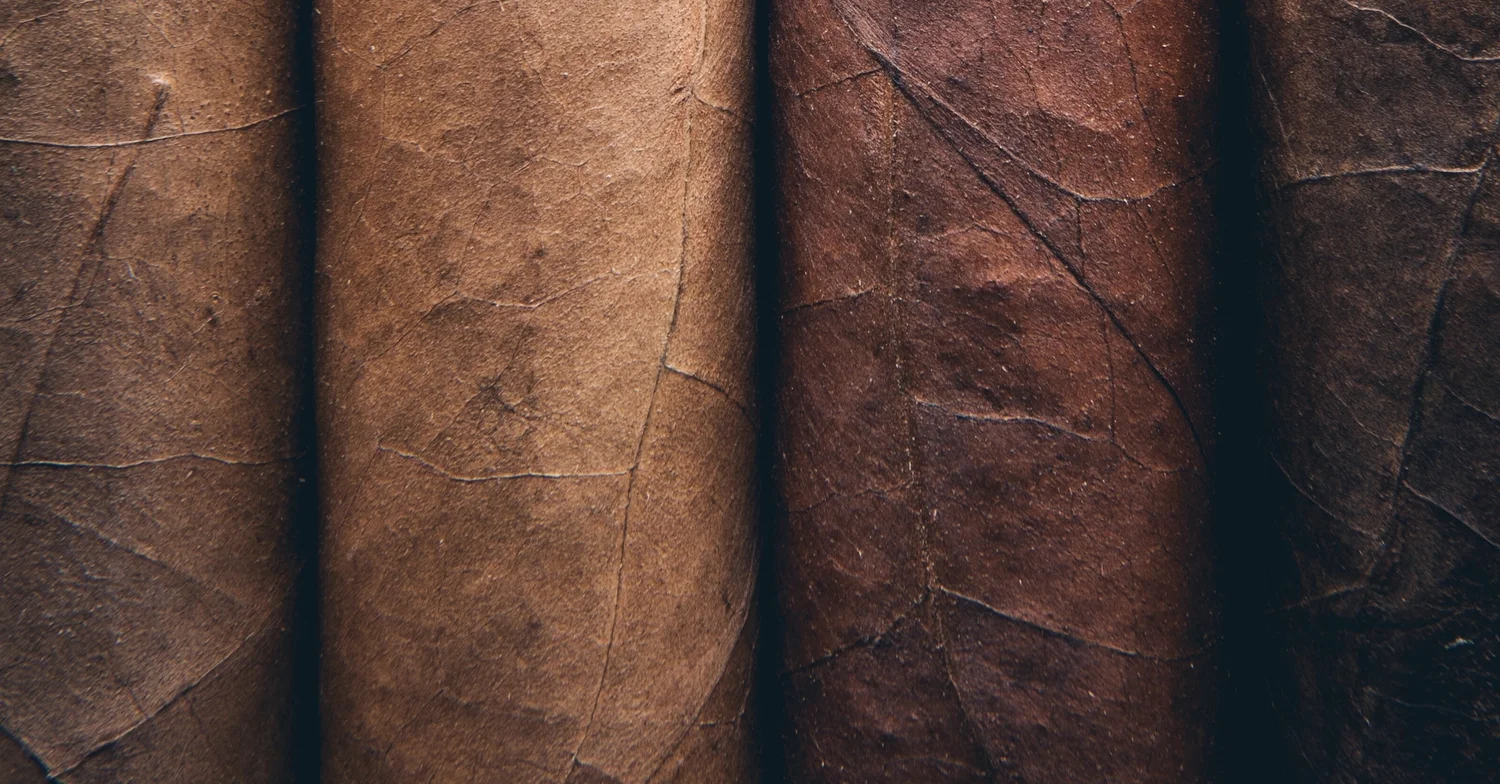 chemical constituents of tobacco Cigarettes