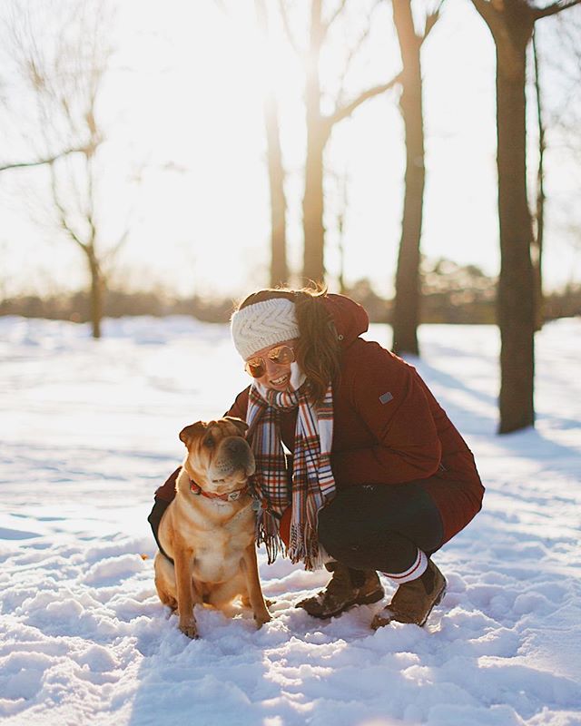 Family day trouble makers.
.
.
.
#sharpei #torontosharpei #torontophotographer #canon50mm12 #familyday