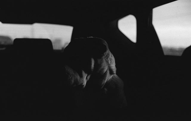 My Leica has no light meter and sometimes (because of images like these) I’m glad it doesn’t.
.
.
.
#leica #leicam4p #leicasummicron #film #torontophotographer #acros #acrosfilm