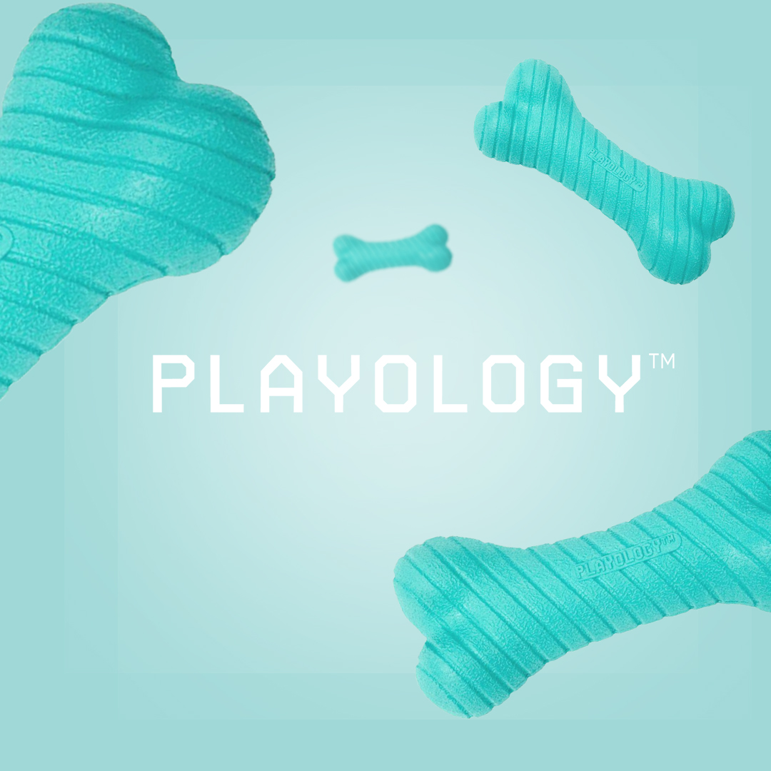 playology bone