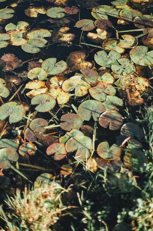 59210017-WEB.jpg